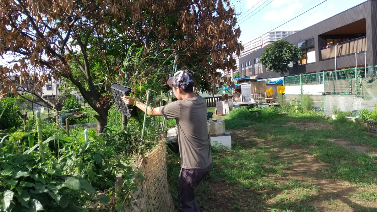 雑草を抜く高校生