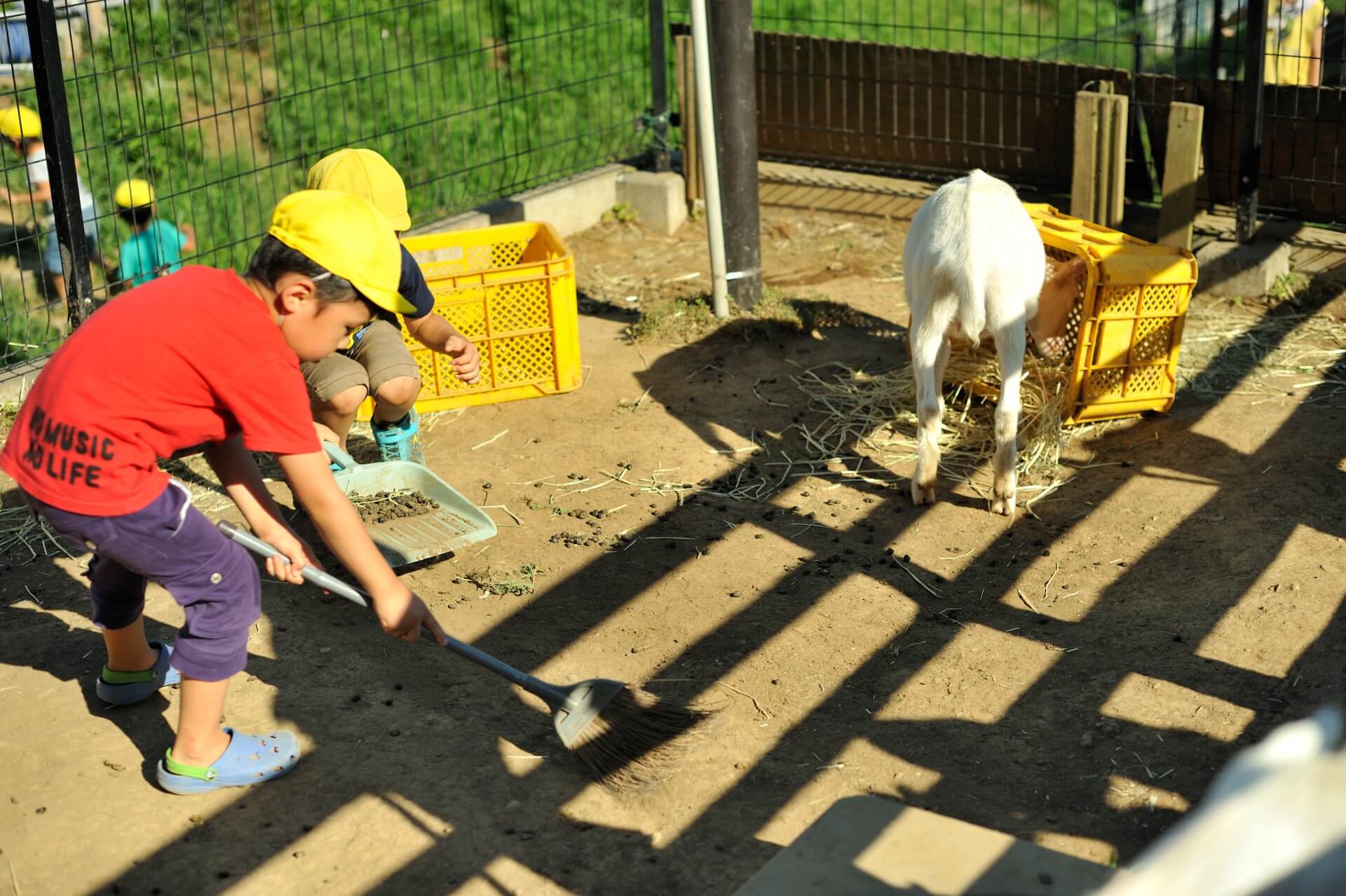 小屋の掃除は子どもたちの日課