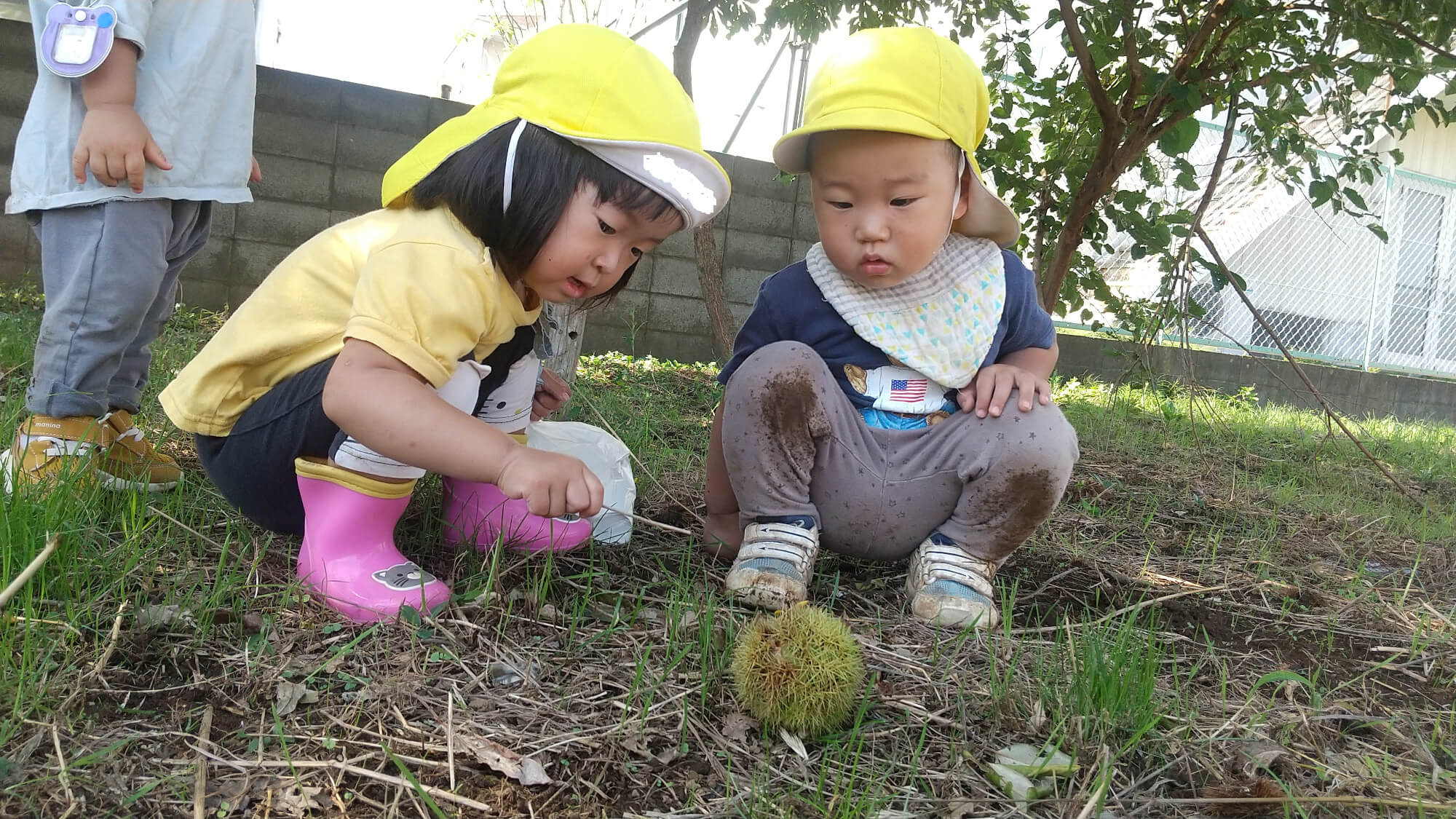 毬栗を見つけた子どもたち