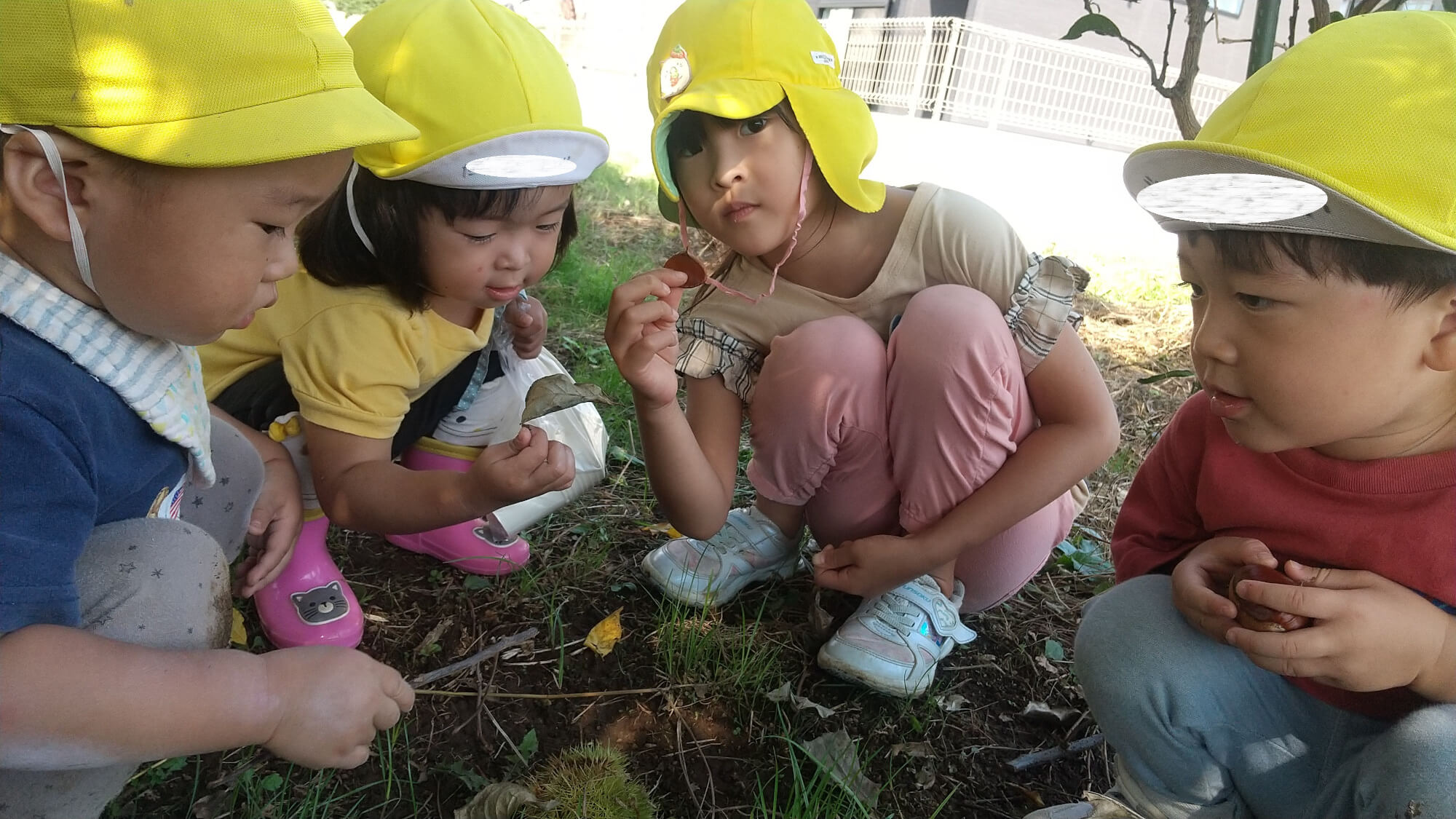 中にある栗を見つけた子どもたち