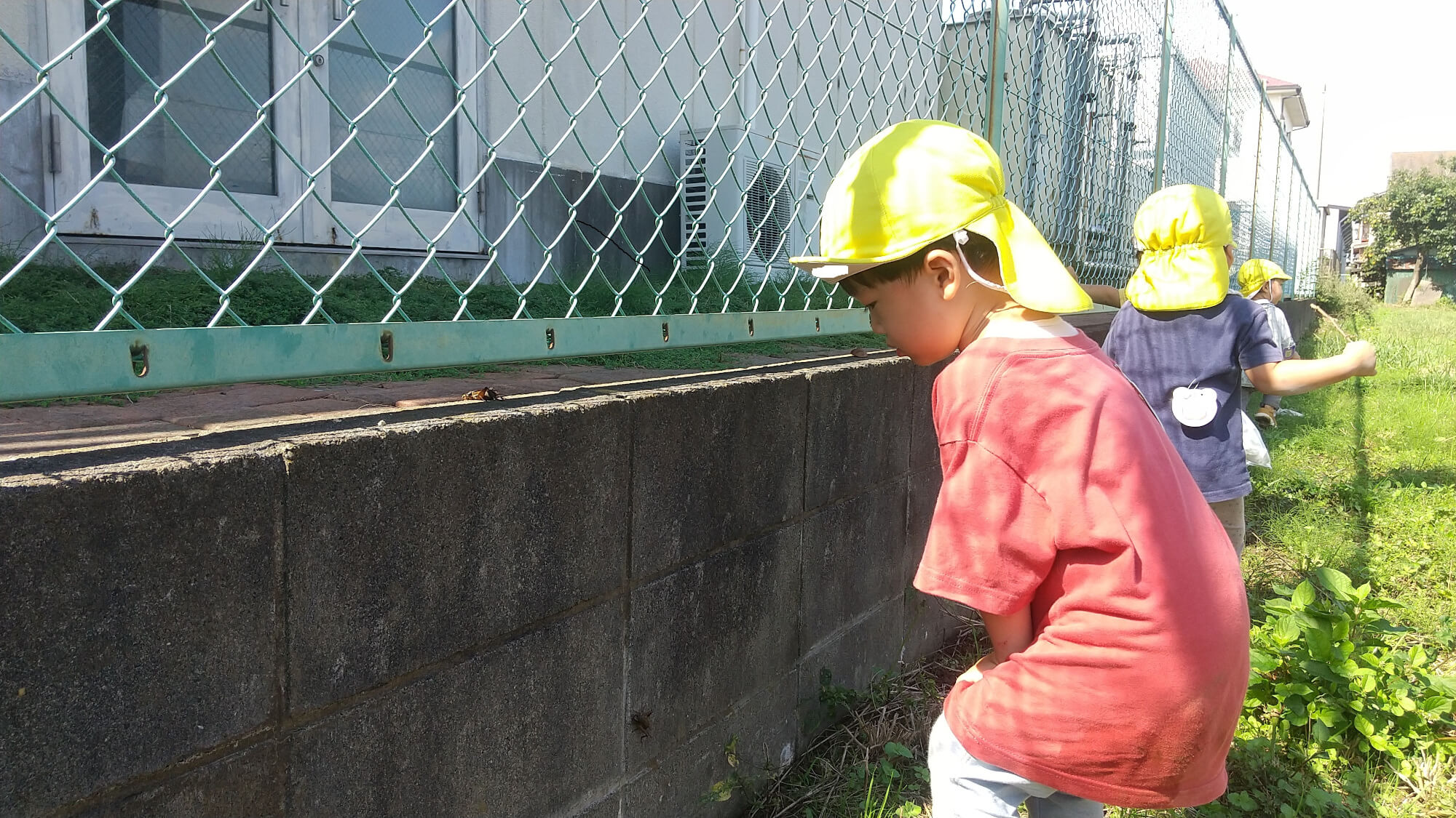 コオロギを発見した子ども