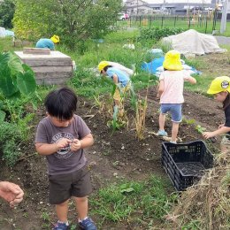 子ども発達支援センターつむぎ 浦和美園「給食から畑仕事へ～地球にやさしい野菜作り～」
