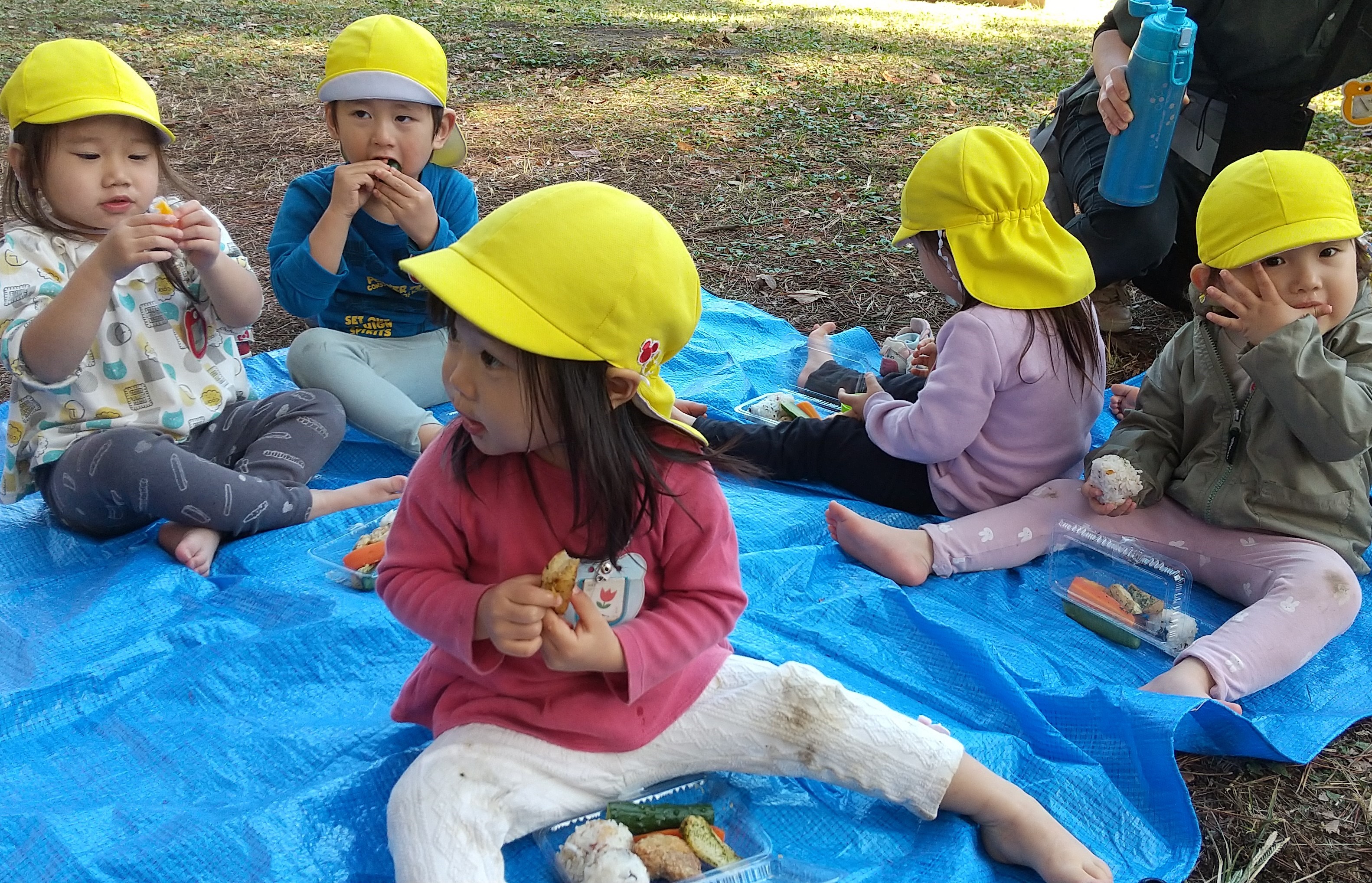 公園でお弁当を食べる子どもたち