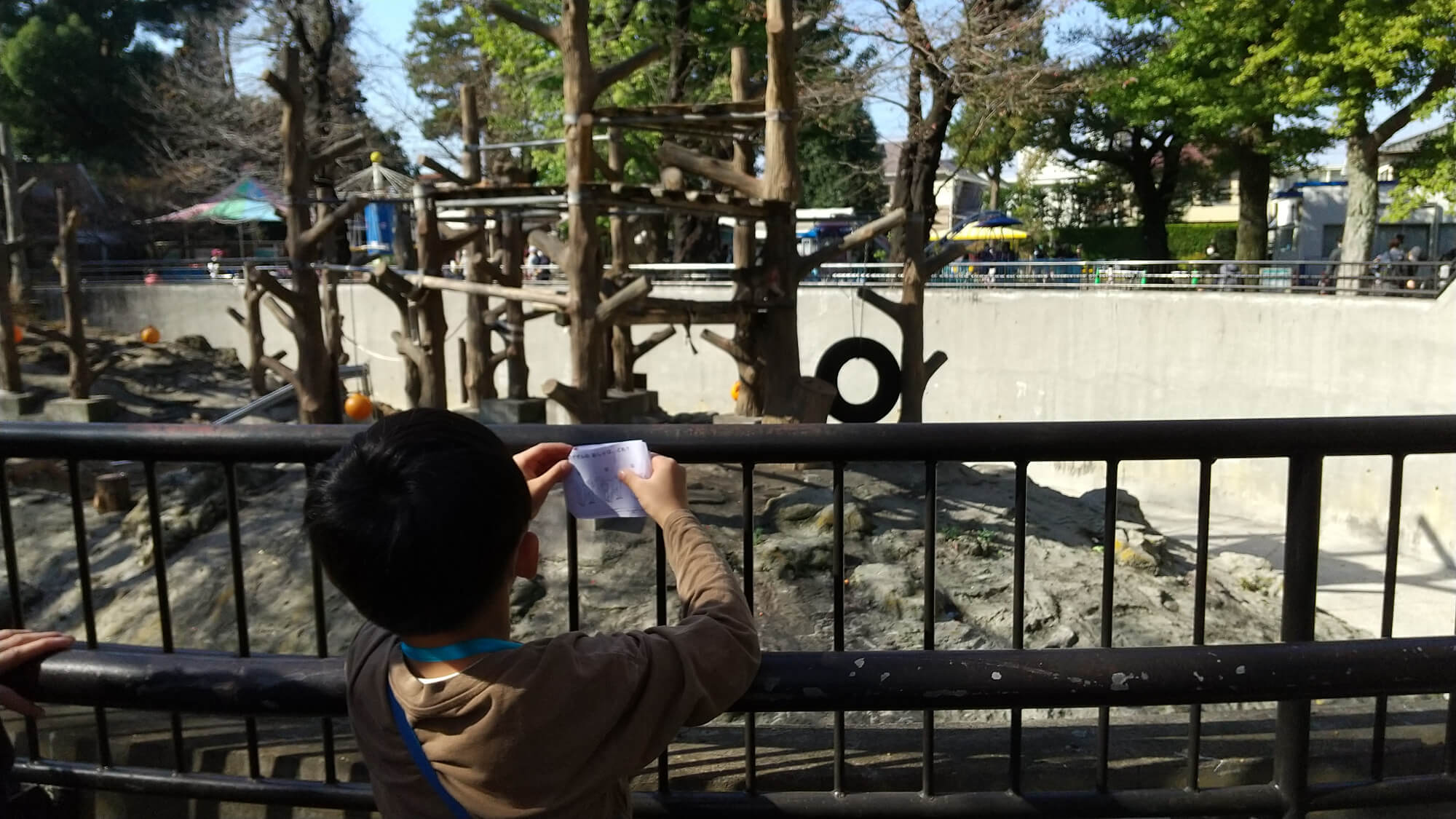 猿を観察する子ども