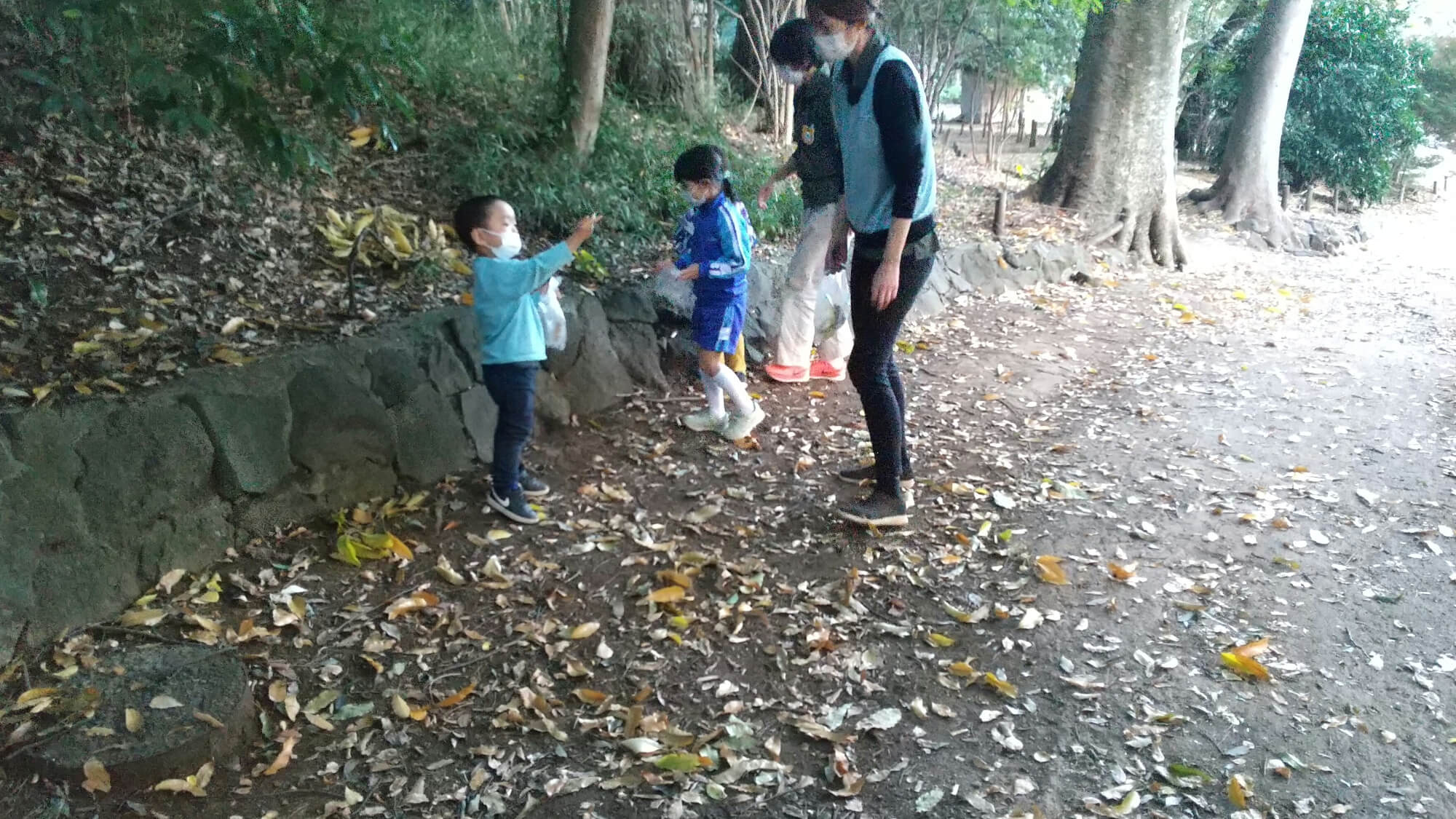 公園で落ち葉を拾う子どもたち