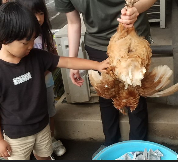 死んだ鶏に触れる子どもたち