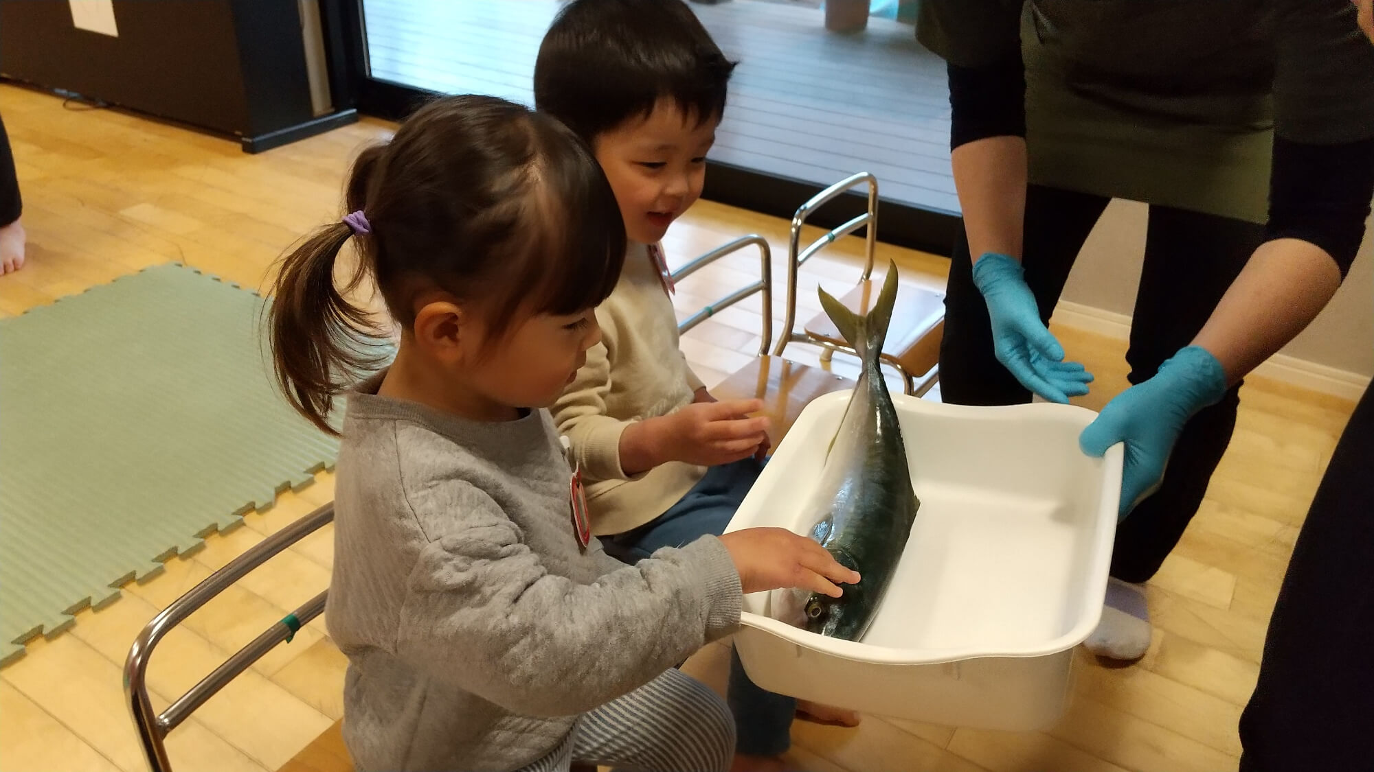 本物の魚に触れる子どもたち