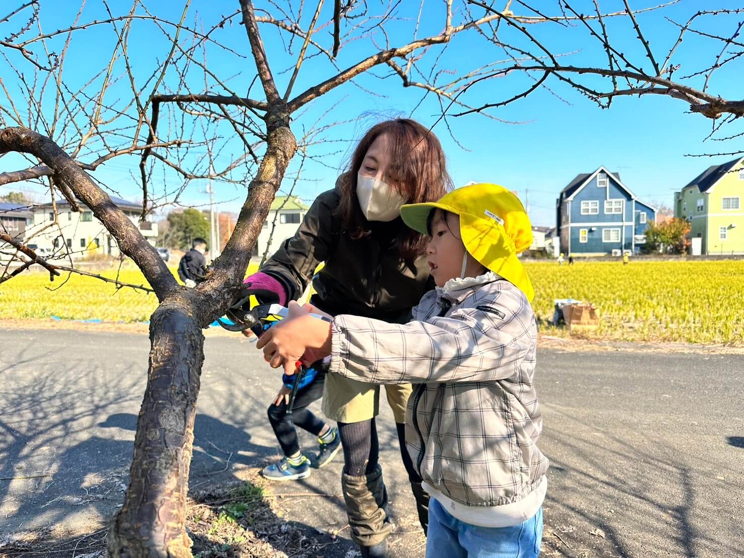 剪定について山口さんから教えてもらいます