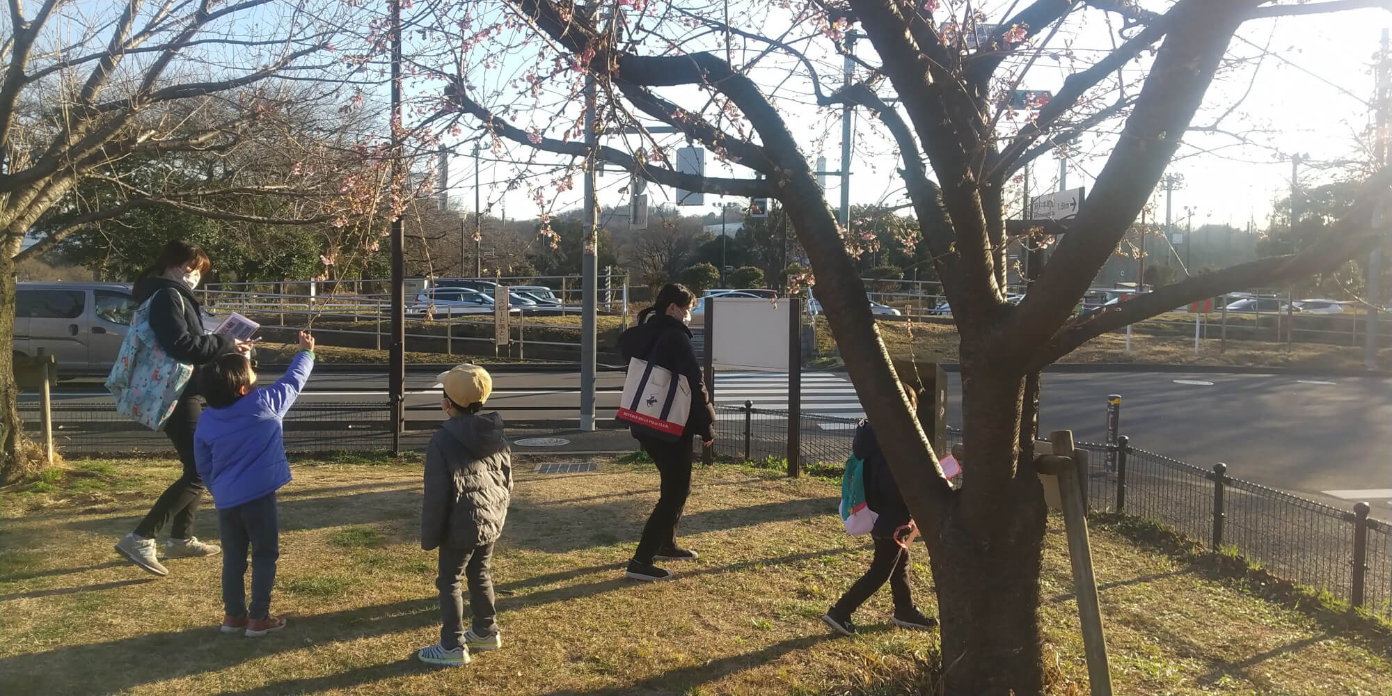 桜の木を観察する子どもたち