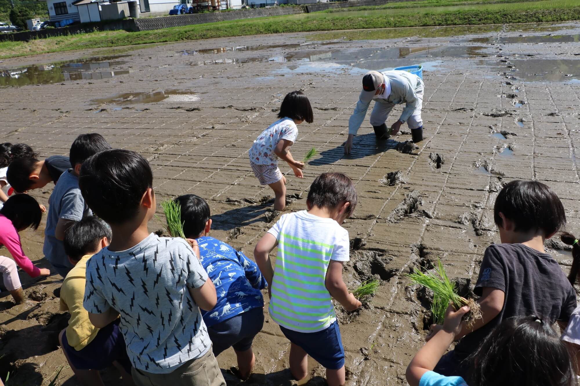 南魚沼市では田植えを体験