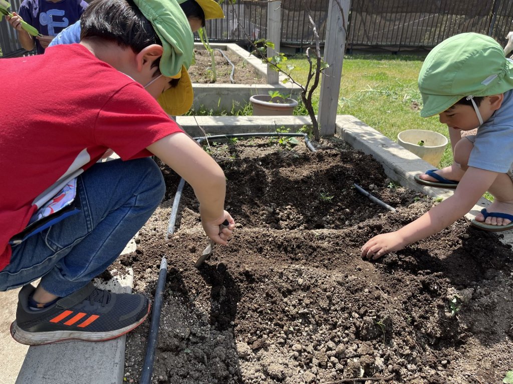 種植えをする子どもたち