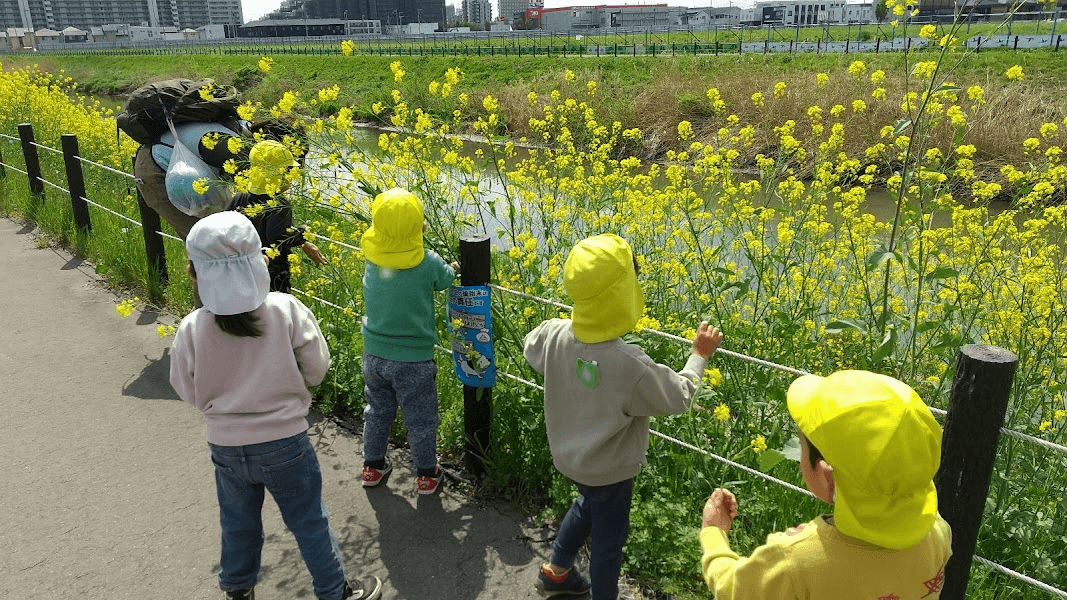 菜の花を眺める子どもたち