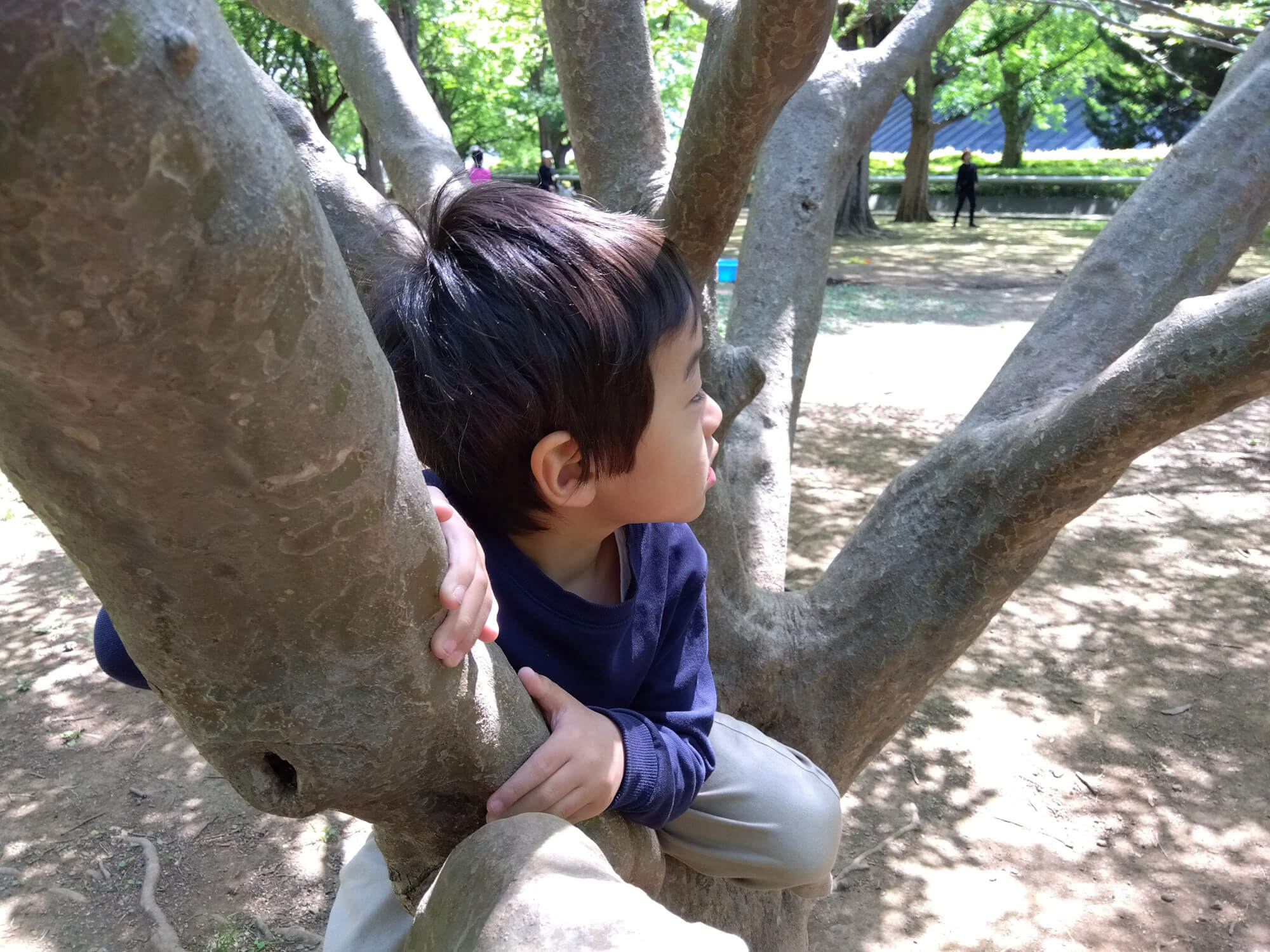 木登りをする子ども