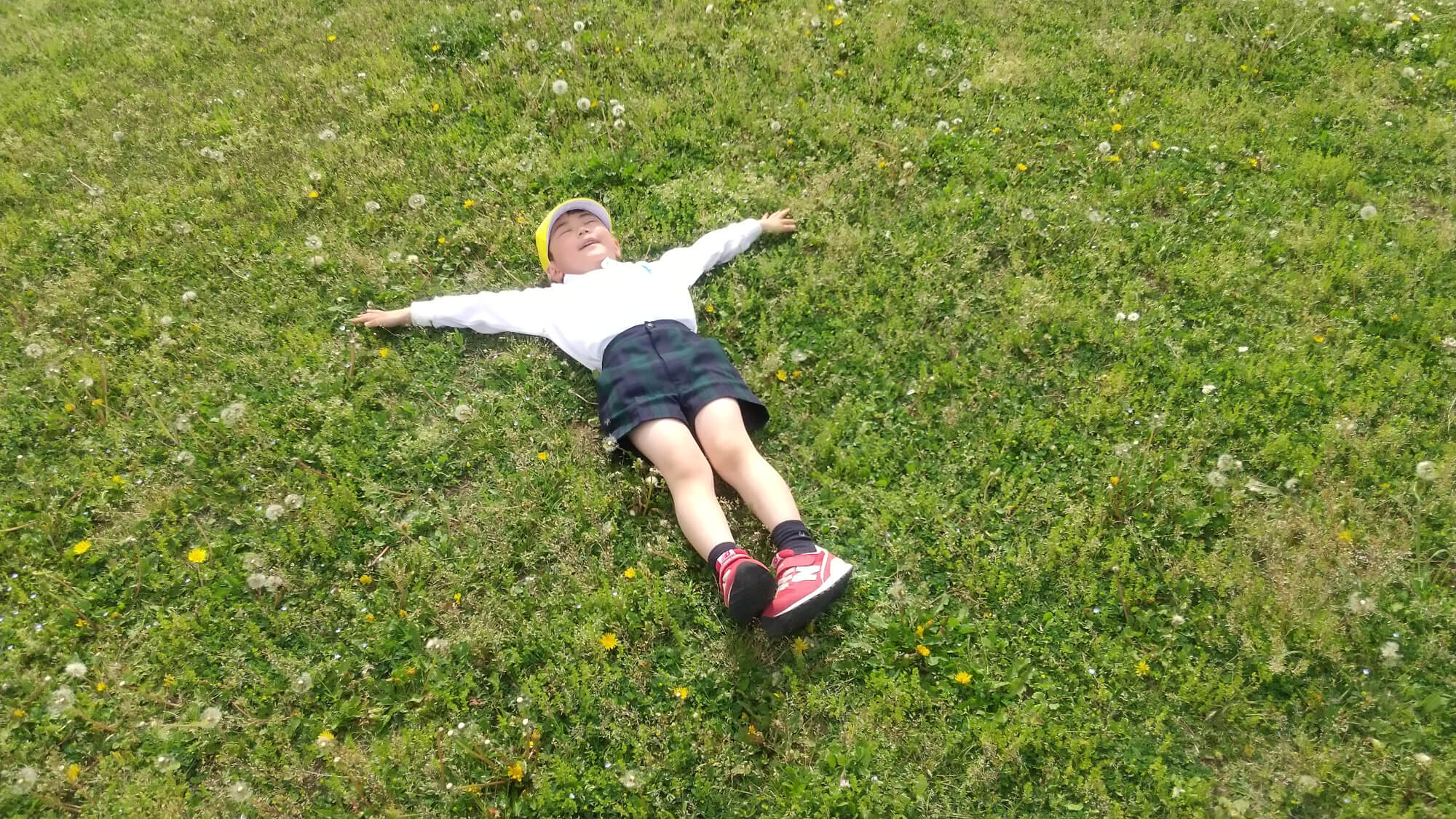 芝生の上に寝っ転がる子ども