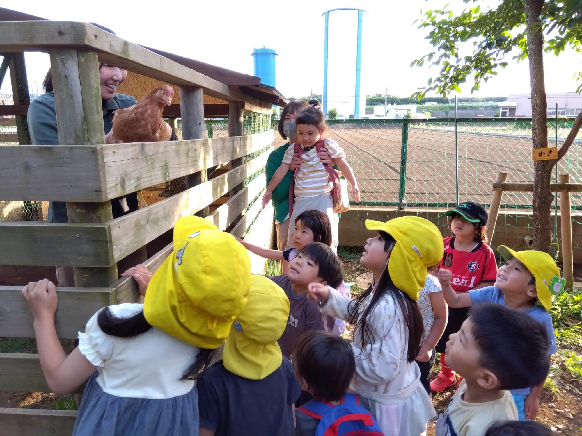 小屋の鶏を見る子どもたち