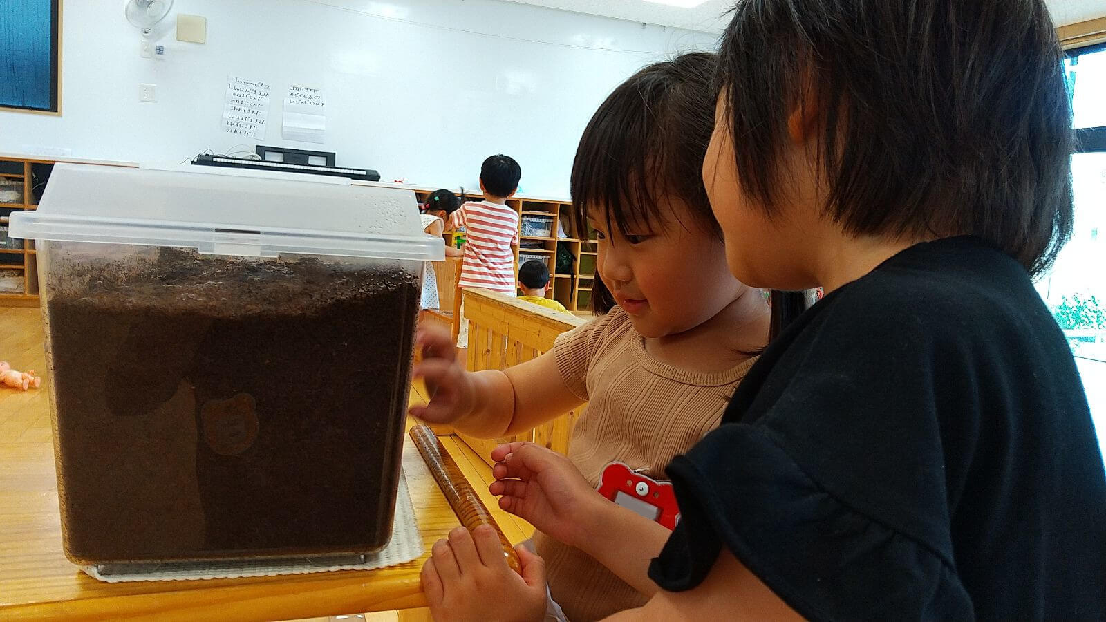 カブトムシの幼虫を観察する子どもたち