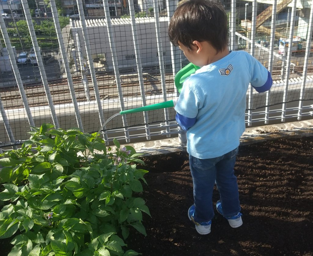 水やりをする子ども