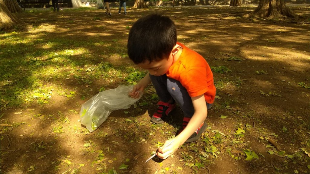 木や石を探す子ども