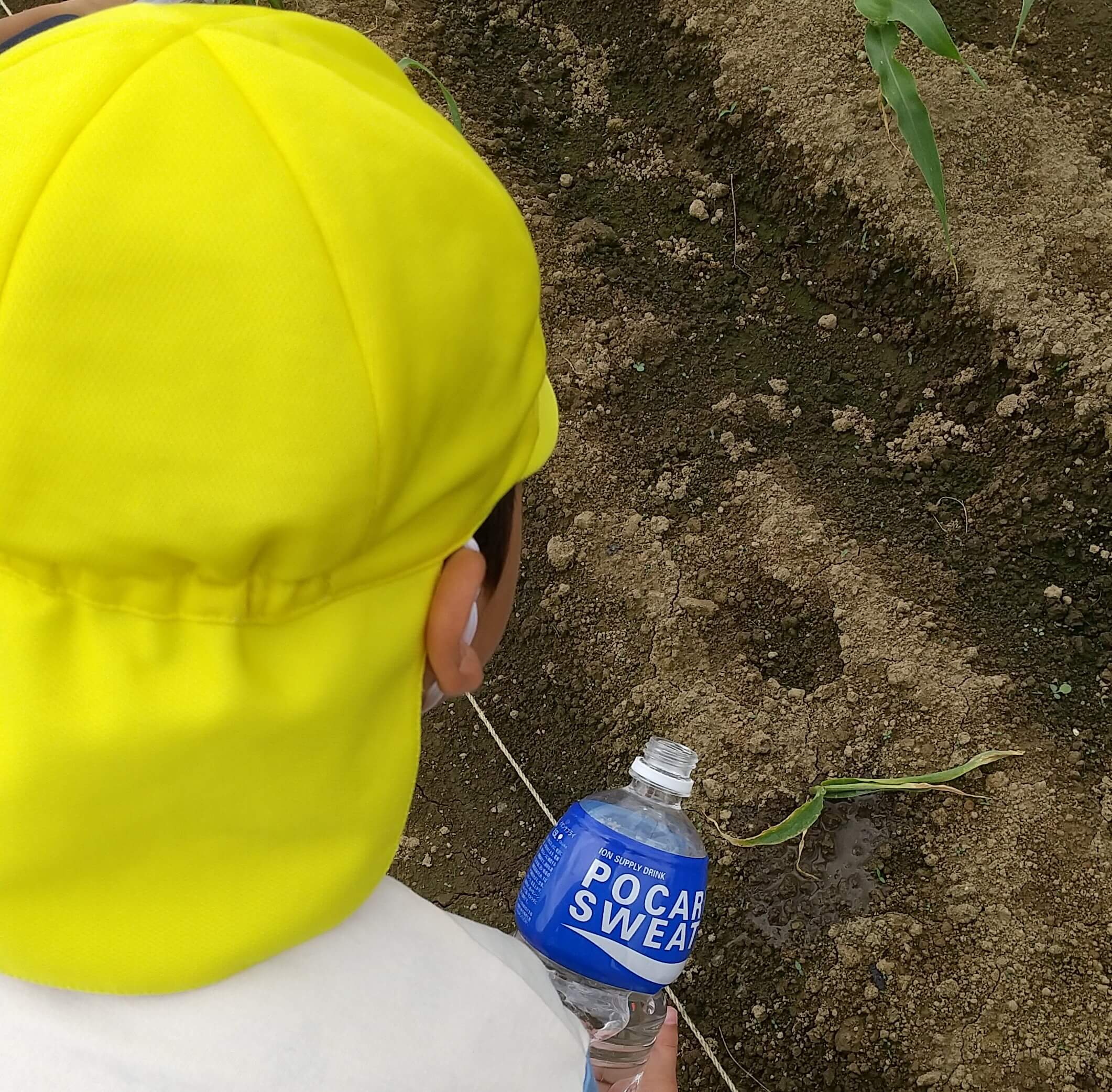 畑に水をあげる子ども