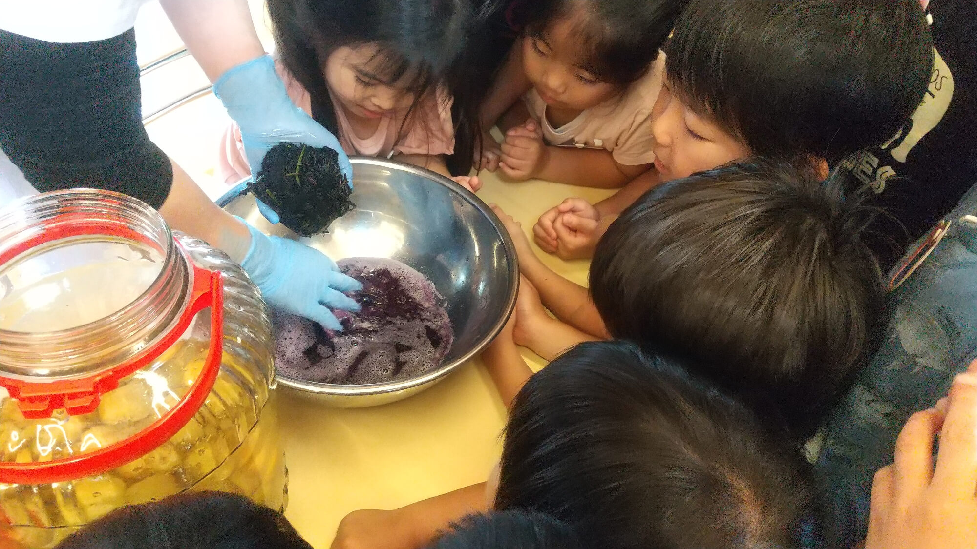 赤紫蘇の色の変化を眺める子どもたち