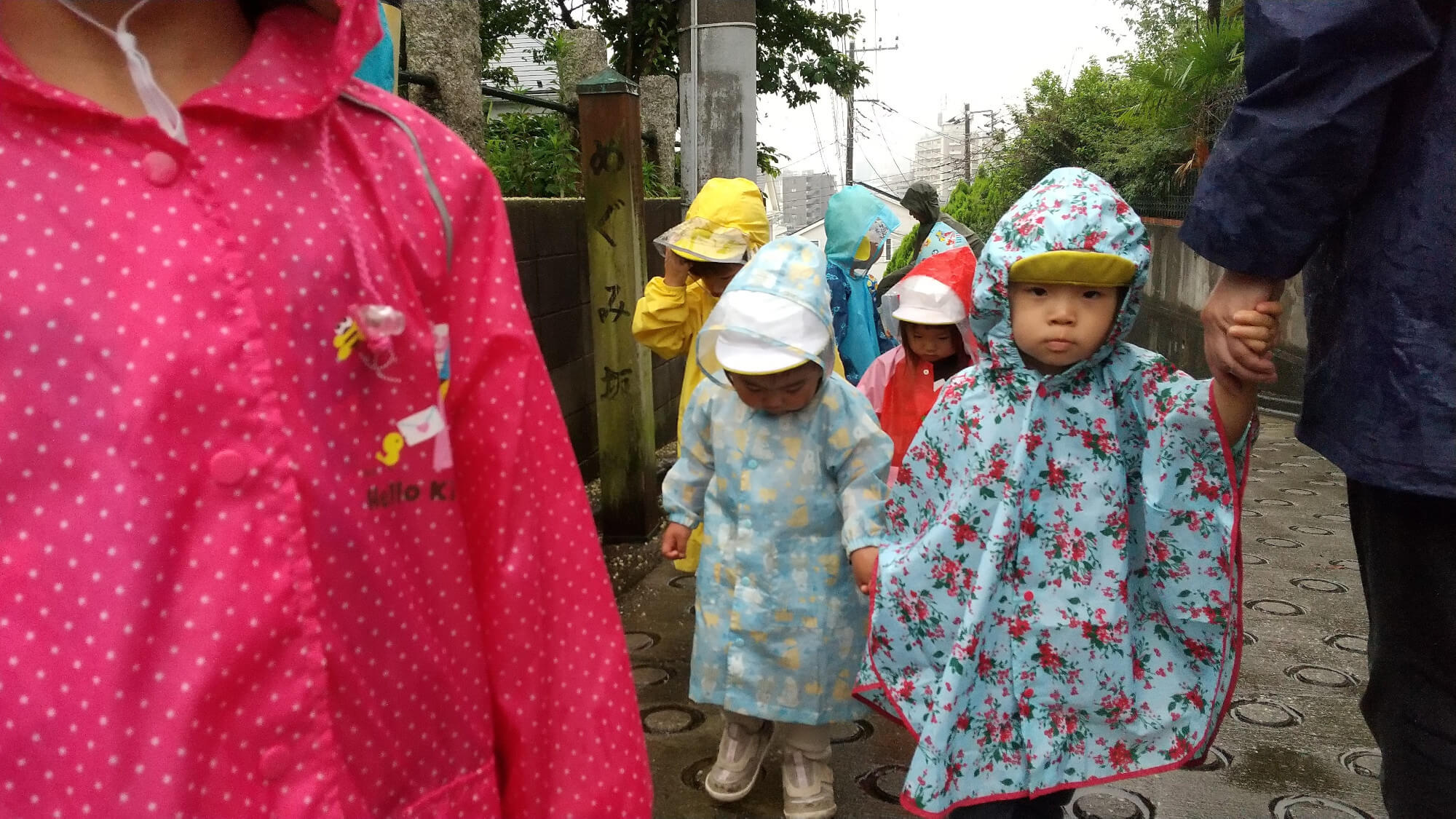 レインコートを着て雨の中散歩をする子どもたち"