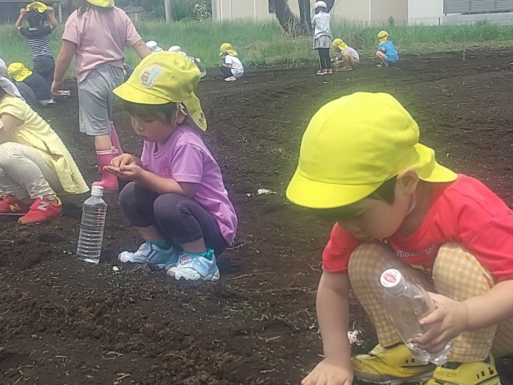 畑に水やり