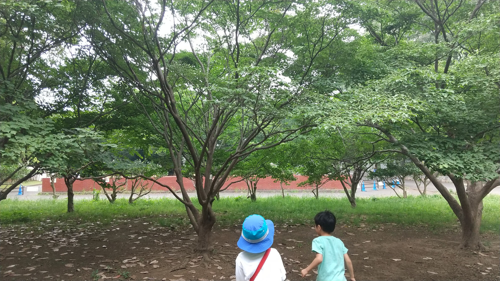 公園を散策する子どもたち
