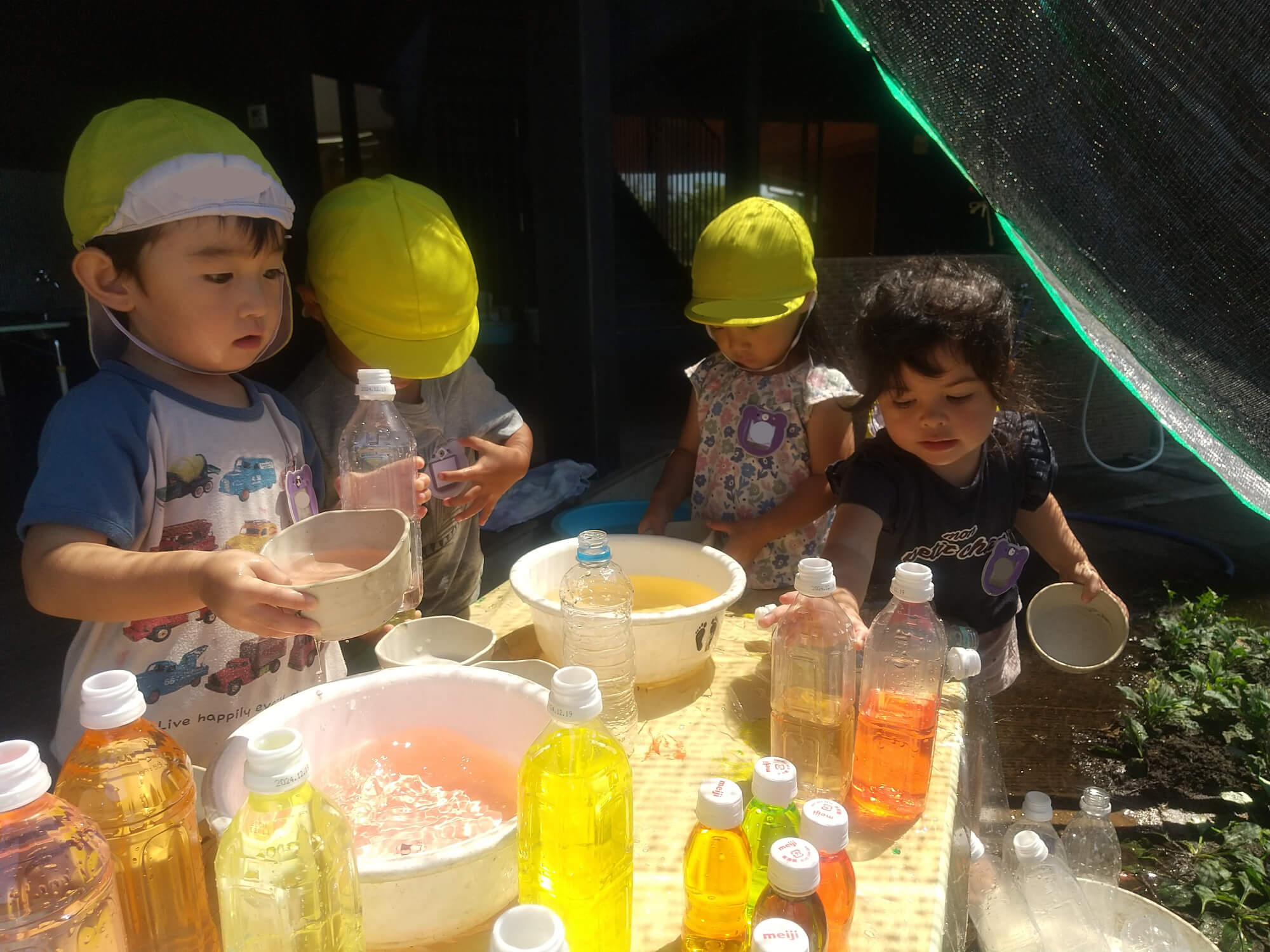 色水遊びをする子どもたち