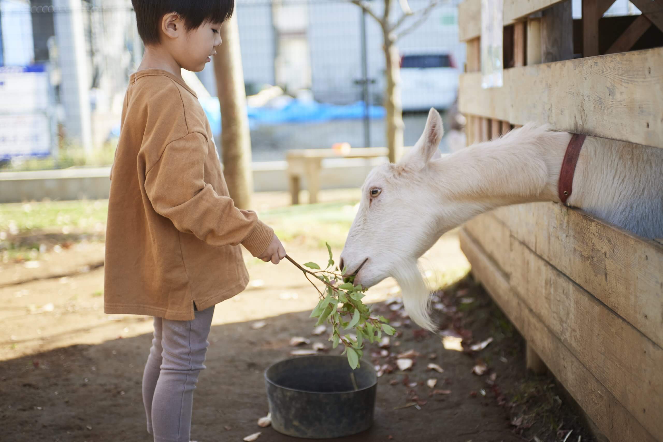 子どもたちにとって癒やしの存在