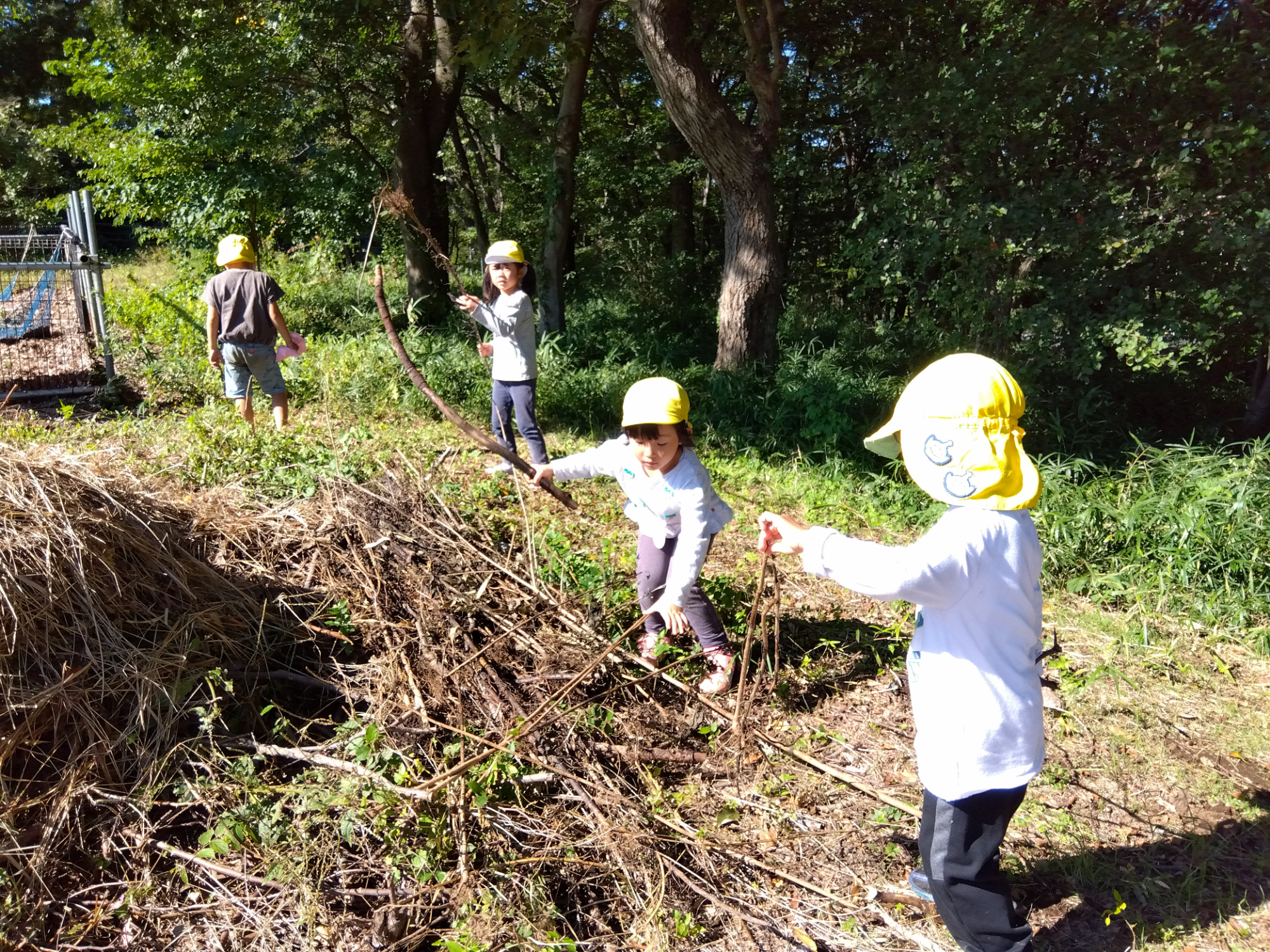 枝を集める子どもたち