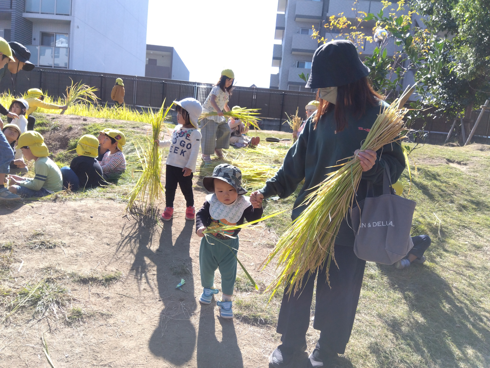 稲を持つ地域の方