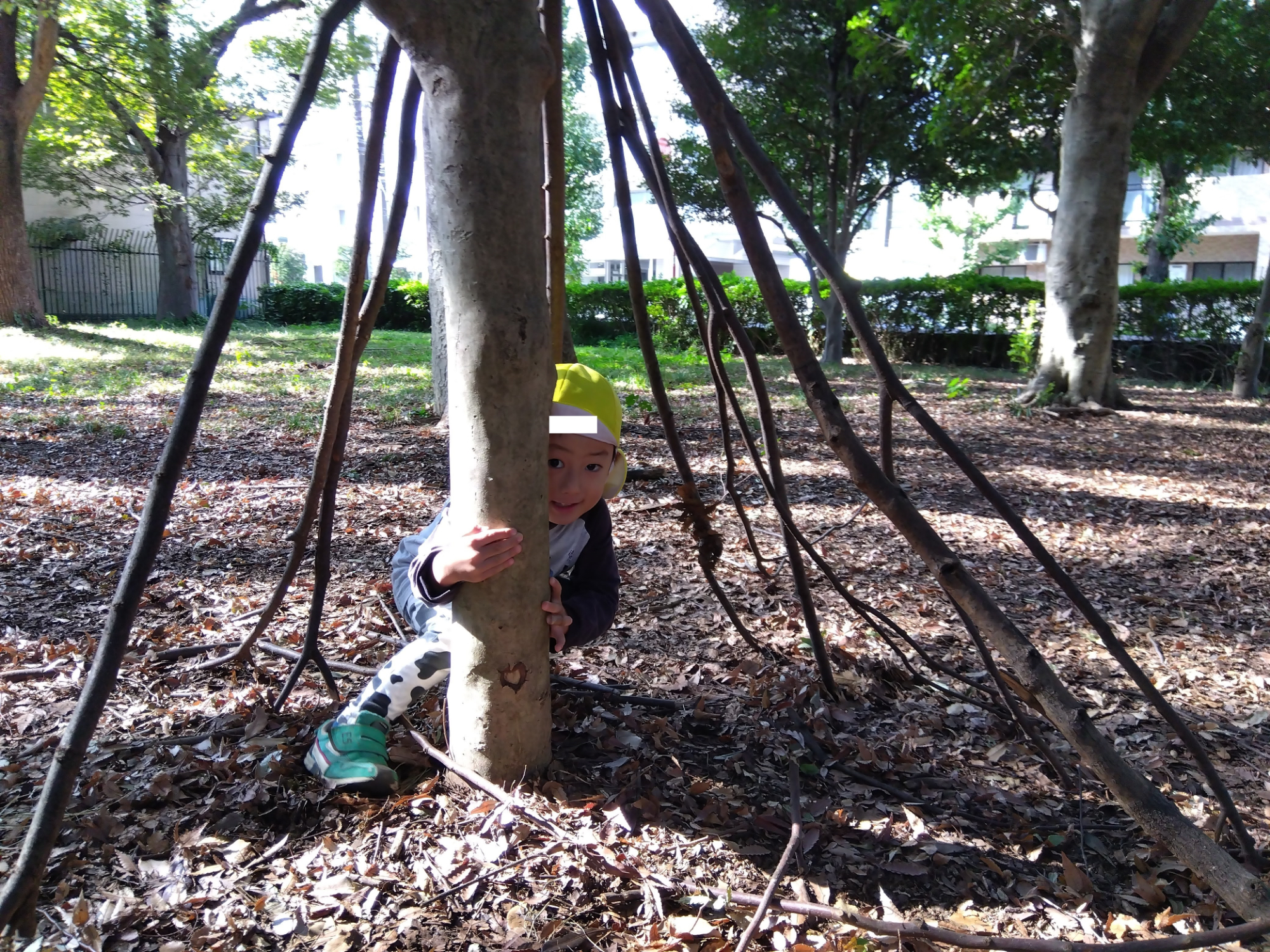 木の陰に隠れる子ども