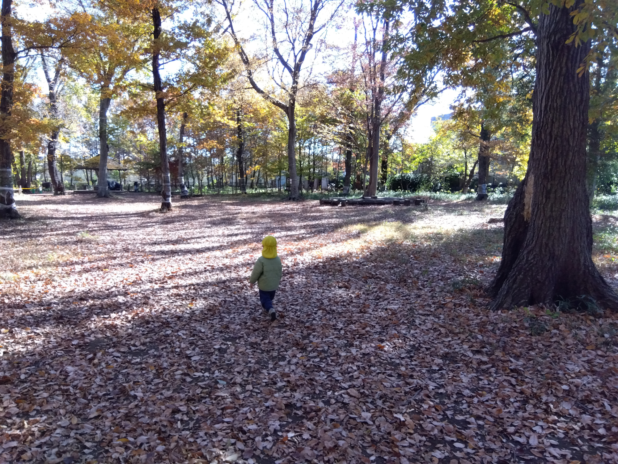 公園と子ども