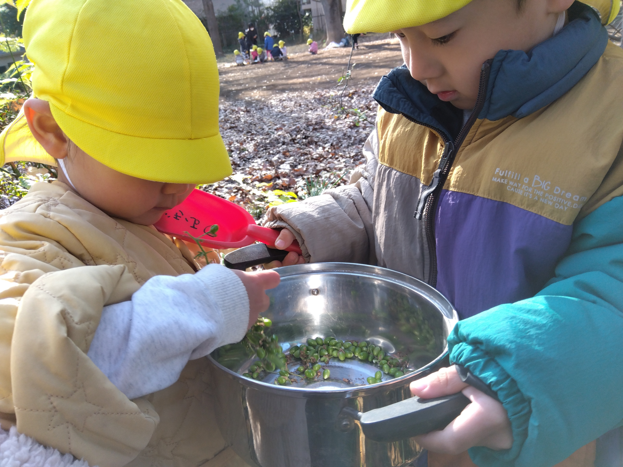 鍋に木の実を集める子どもたち