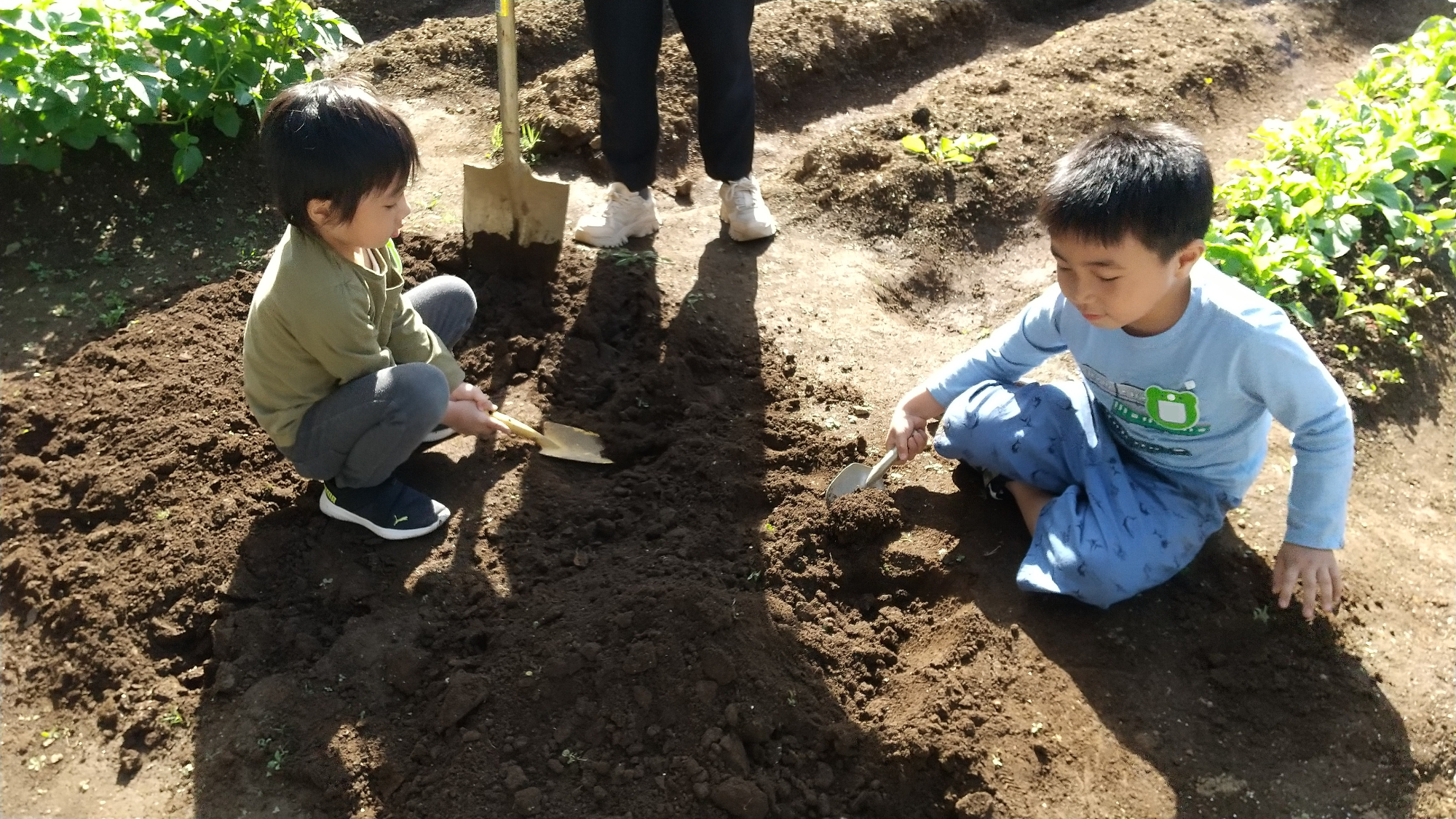 土を掘る子ども