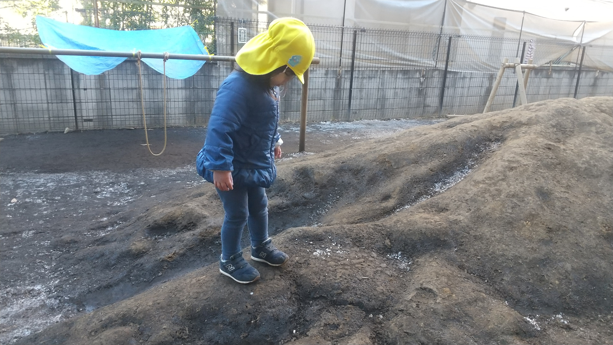 園庭で霜柱を見つけた子ども