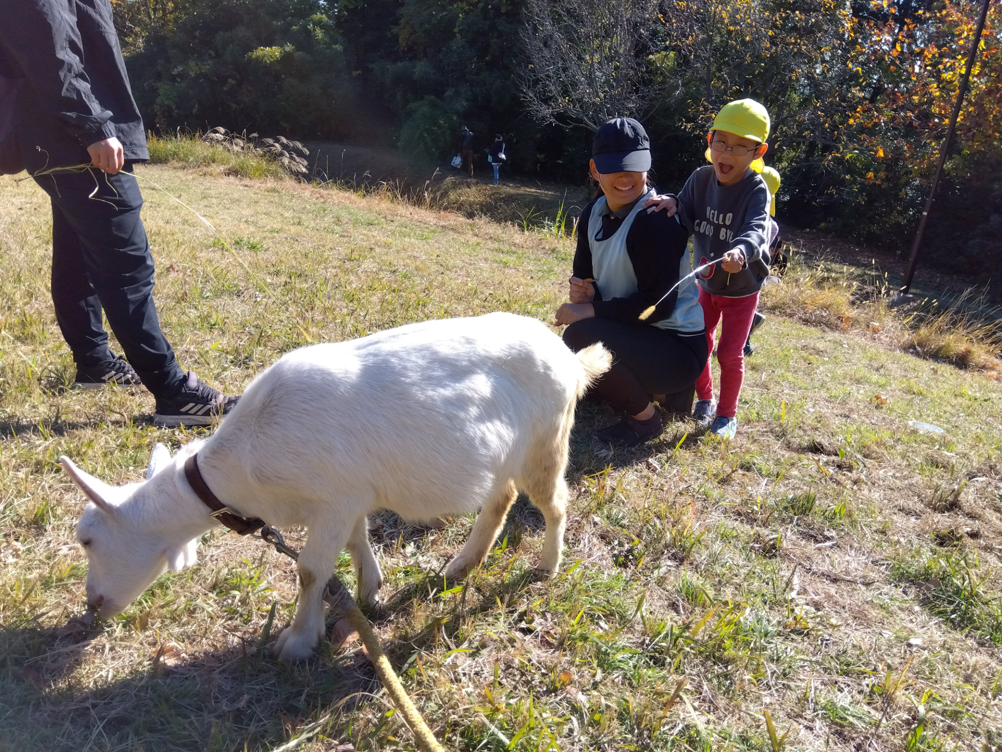 ヤギをくすぐる子ども