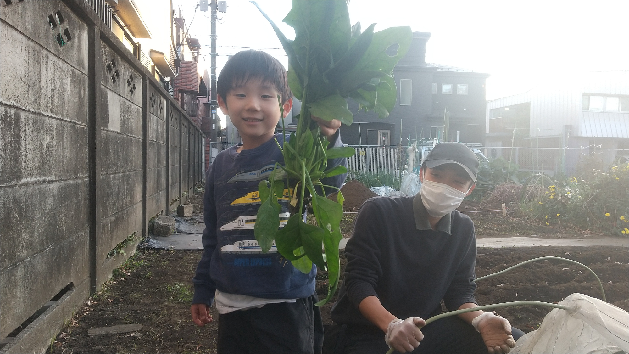 ほうれん草と子ども