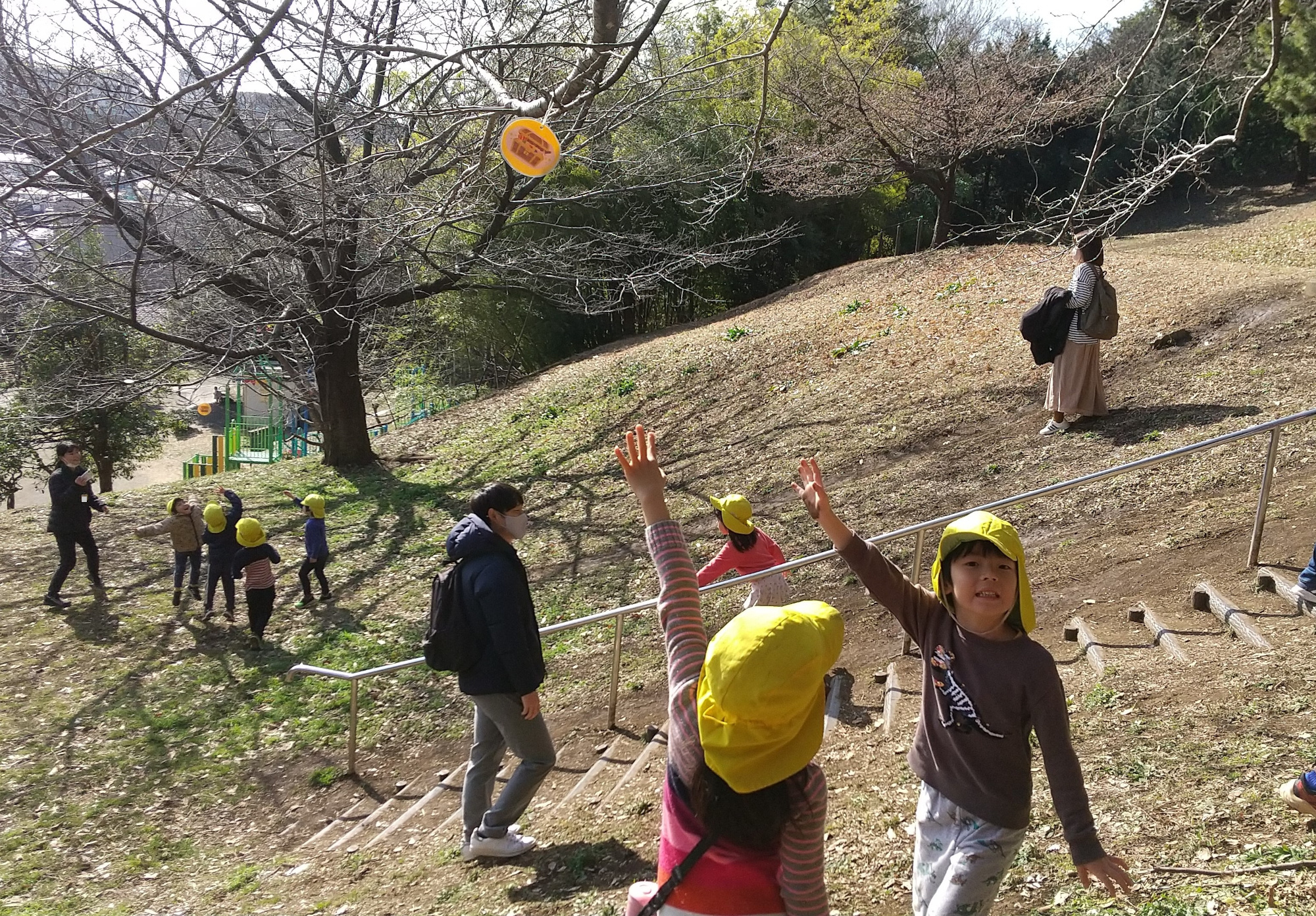 宝探しゲームで木の上に括りつけられた宝箱のカードを見つける子どもたち