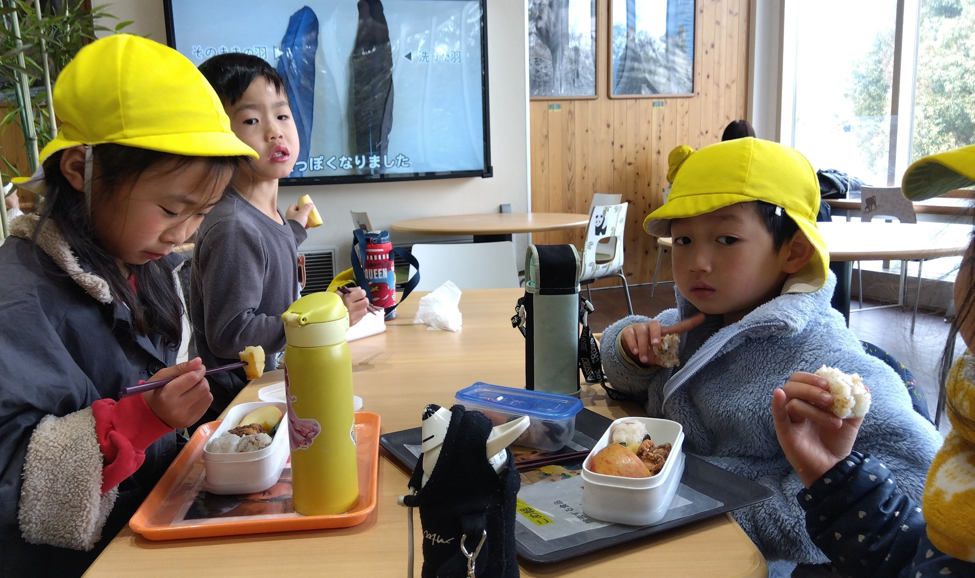 食堂でお弁当を食べる子どもたち