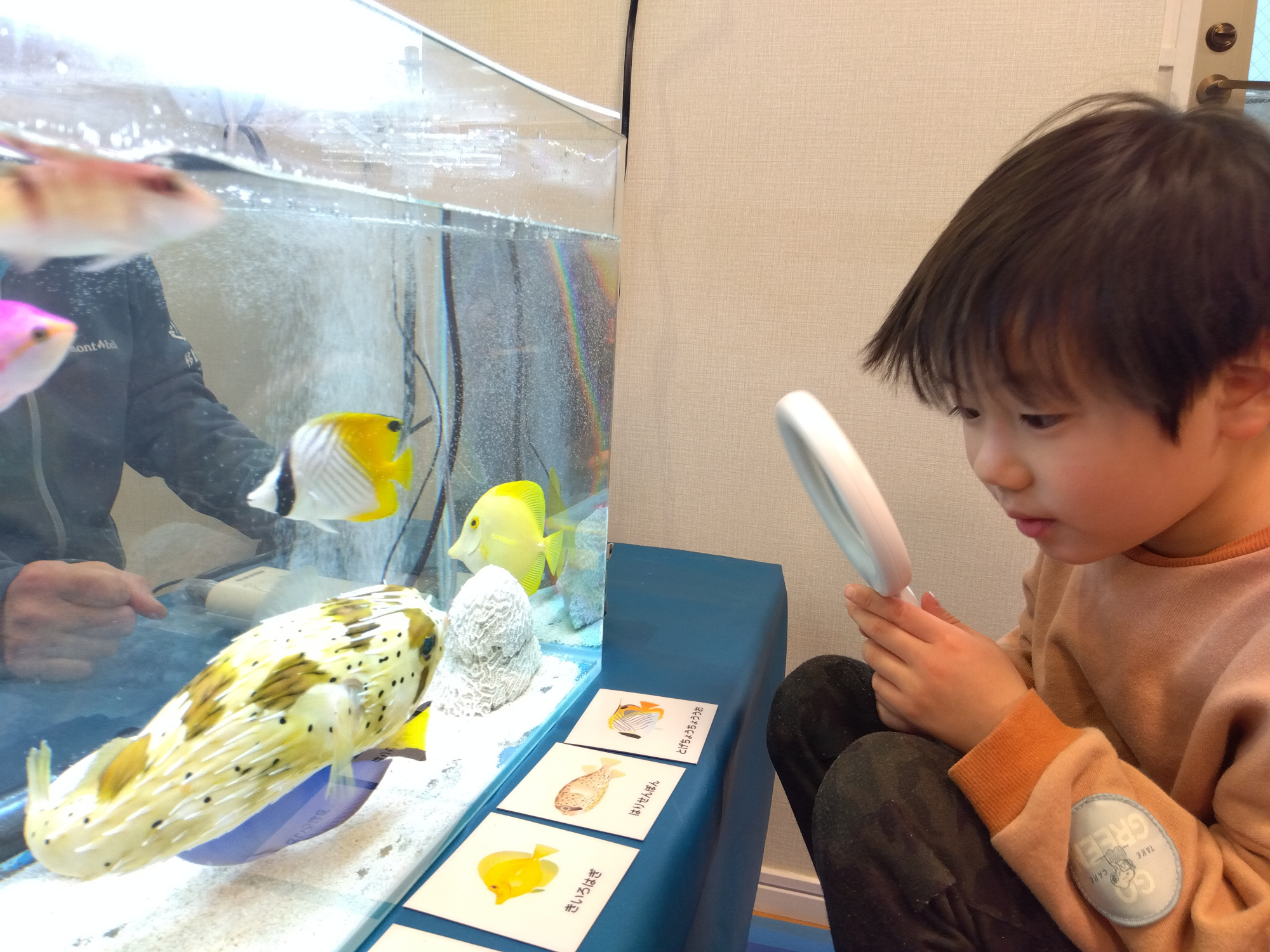 虫眼鏡で水槽の魚を観察する子ども