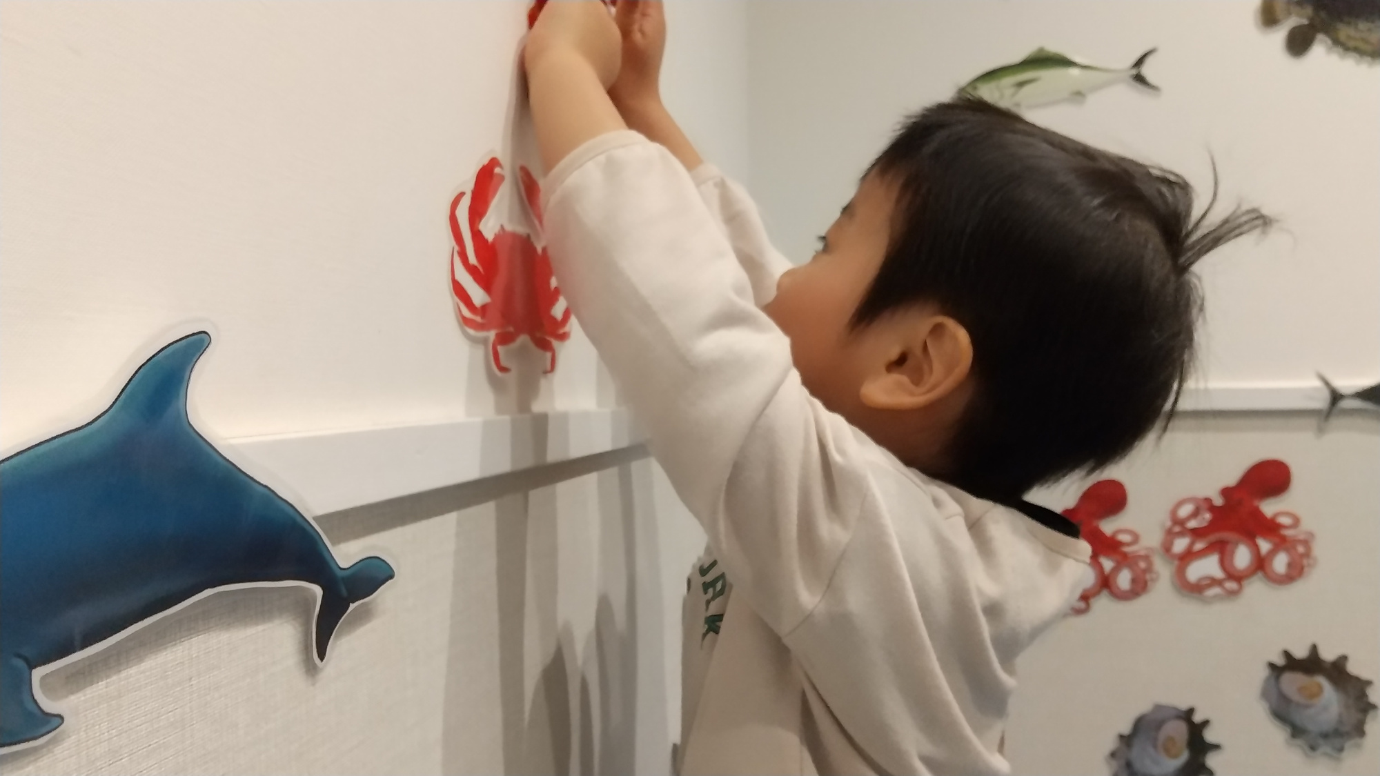 壁に貼られた魚の写真を見る子ども