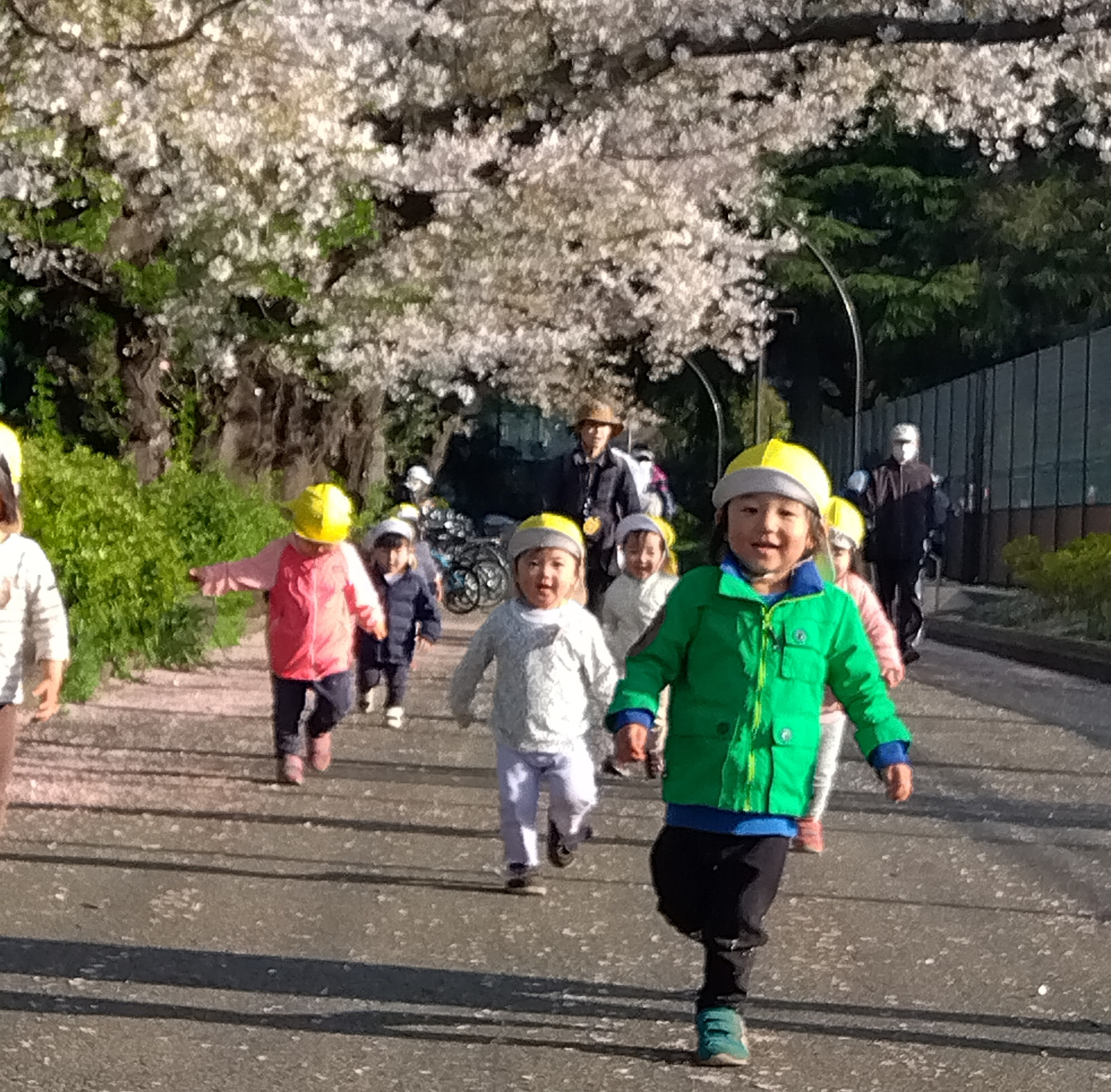桜並木の下を歩く子どもたち