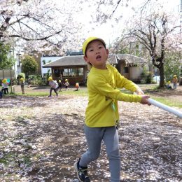 駒沢どろんこ保育園「春真っ盛り」