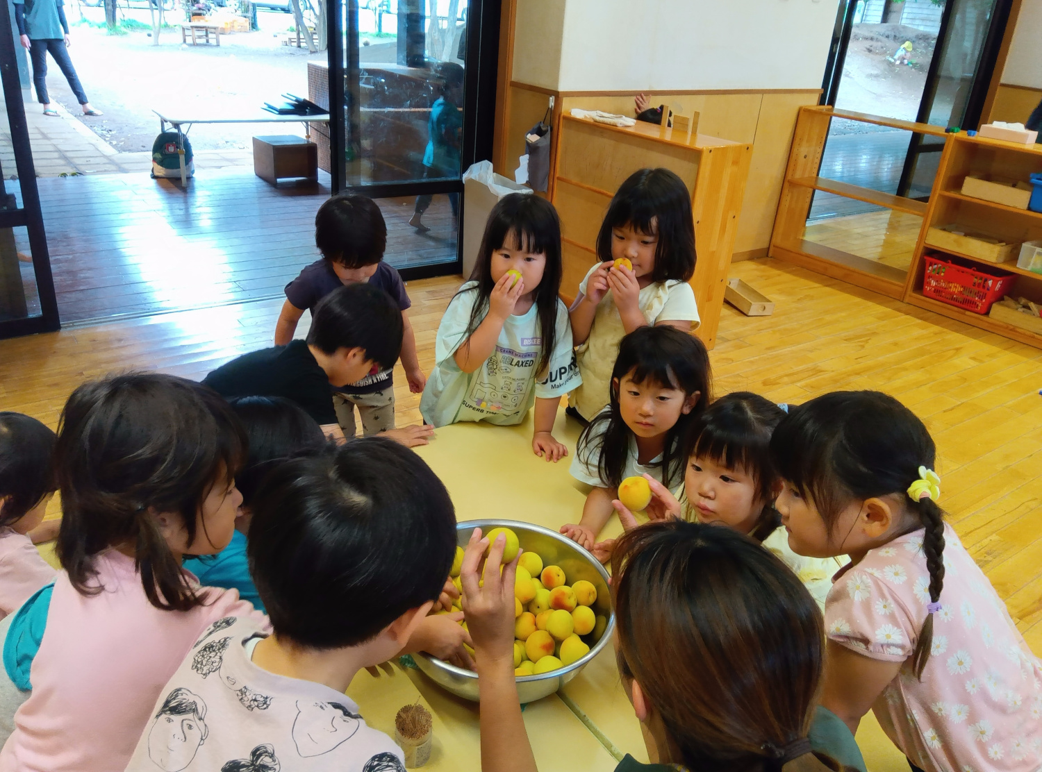  梅の実の香りを嗅ぐ子どもたち