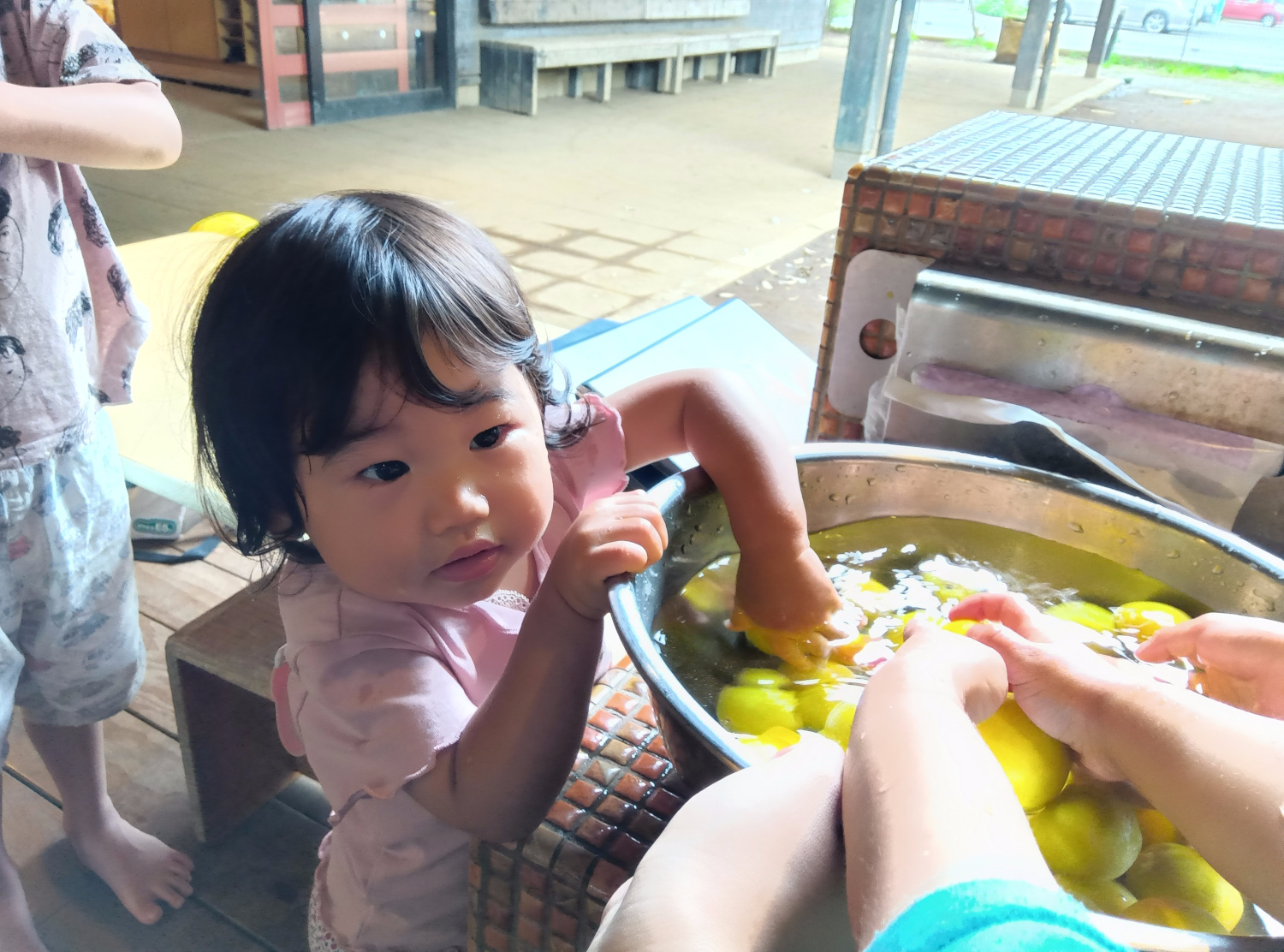 梅の実を洗う子どもたち