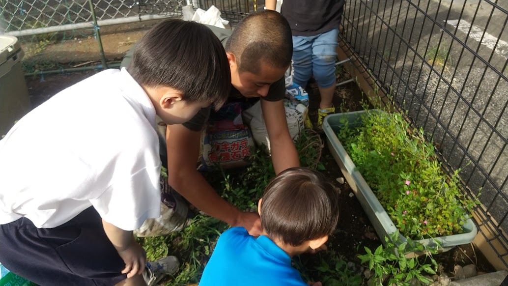 ヤモリを捕まえようとする子どもたち