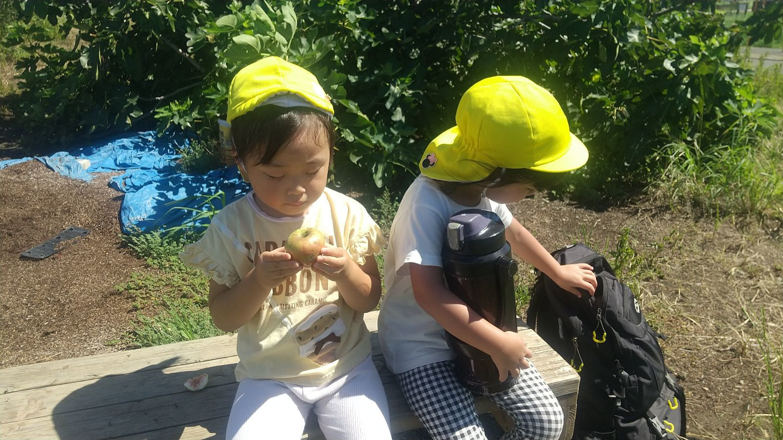 １つのベンチを共有して一緒に座る様子