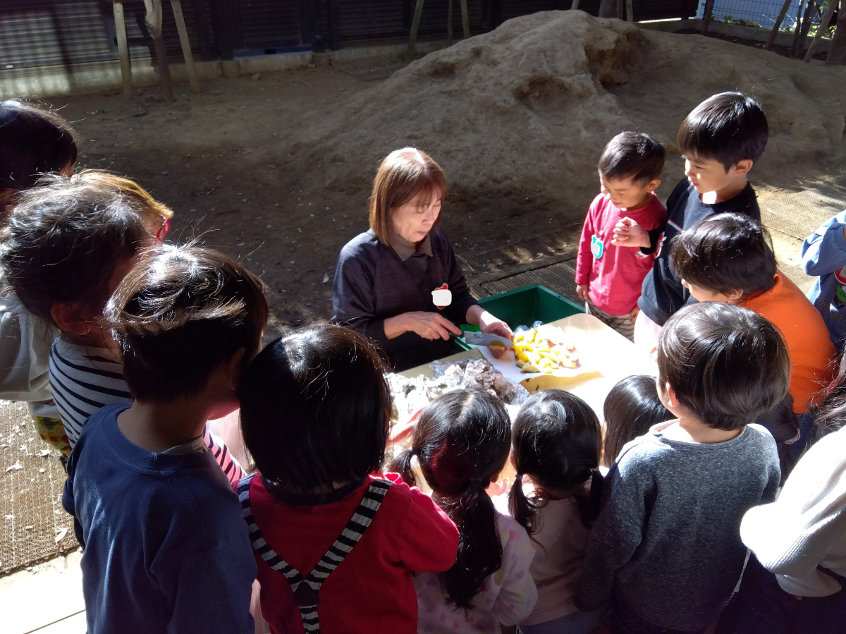 焼きあがった焼き芋を囲む