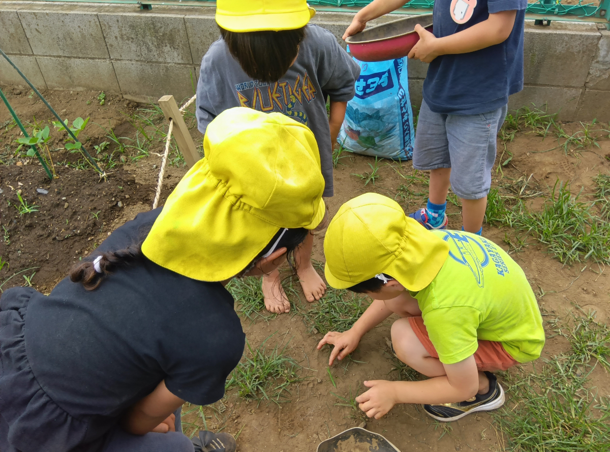 虫を見つける子どもたち